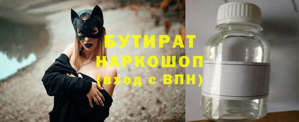 индика Баксан