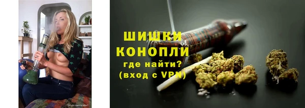 прущие крисы Новозыбков