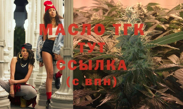 индика Баксан