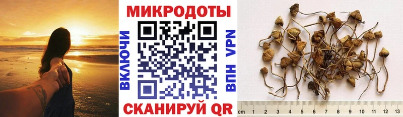omg как зайти  Новокубанск  Галлюциногенные грибы Cubensis 